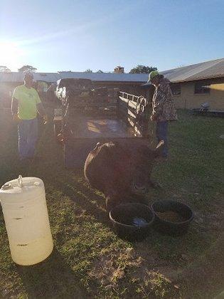 Cowart Ranch LLC