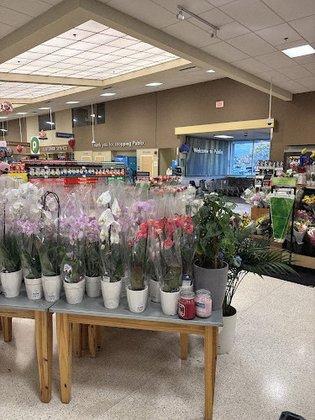 Publix Super Market at Twelve Oaks Plaza