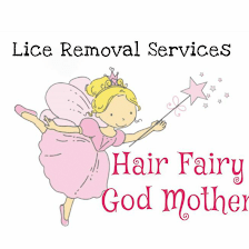 Hair Fairy Godmother Head Lice Rescue- Clearwater