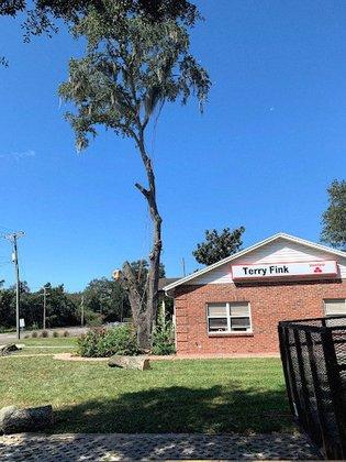 PSR Tree Service Inc.