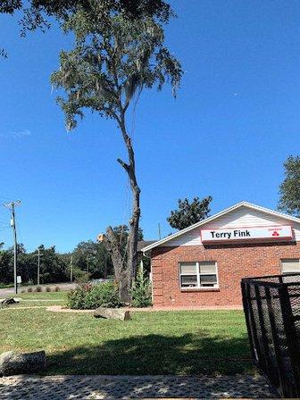 PSR Tree Service Inc.