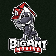 Big Ant Moving