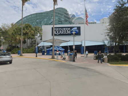 Florida Aquarium Valet