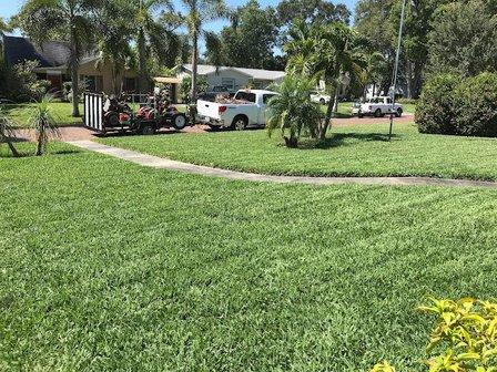 Jeannie's Lawn Care