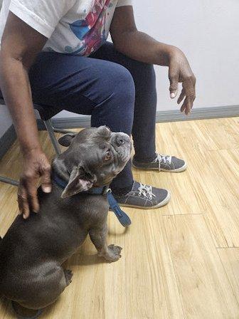 Animal Care Clinic of Largo
