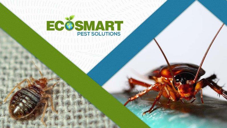 EcoSmart Pest Solutions