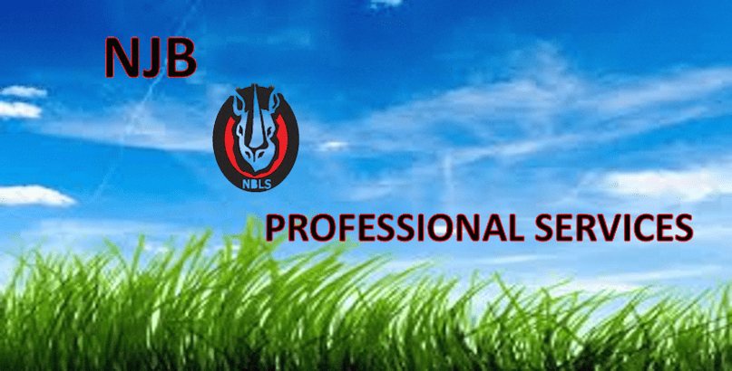 NJB Professional Services