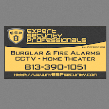 Expert Security Professionals