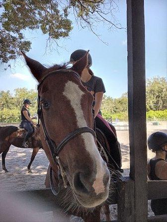 Crosspoint Farm & Venue