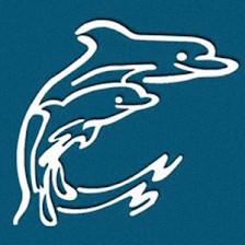 Dolphin Title of Brandon Inc