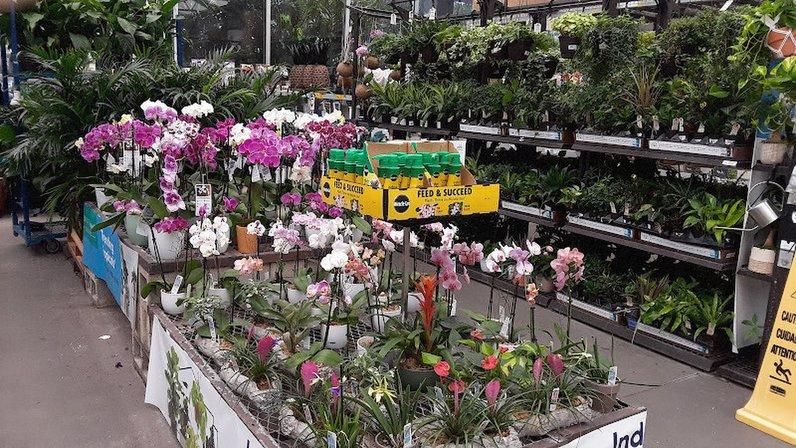 Lowe's Garden Center