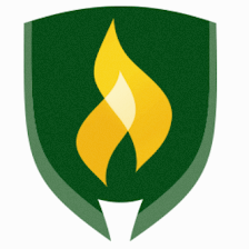 Rasmussen University - Tampa/Brandon