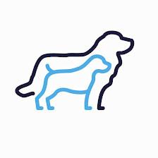 Gonyon Goldens Doodles and Poodles