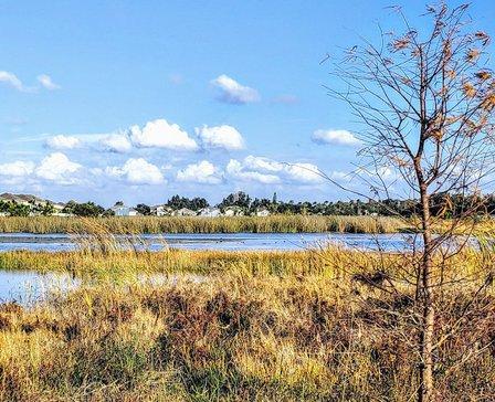 Bahia Beach Nature Preserve