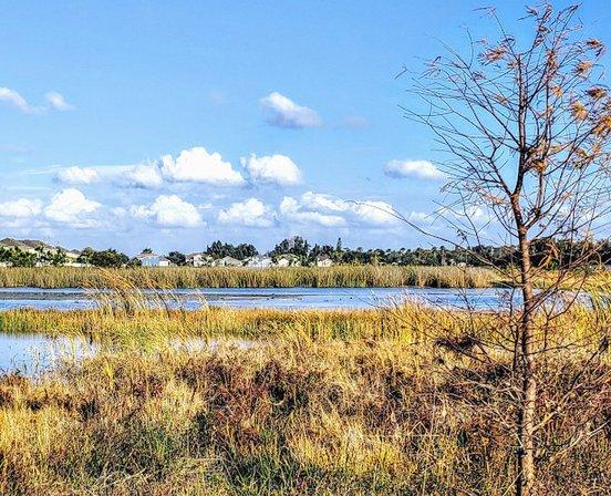 Bahia Beach Nature Preserve