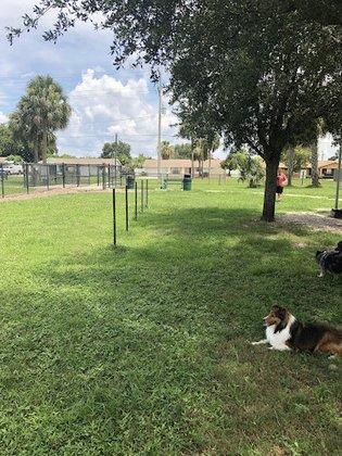 Apollo Beach Dog Park
