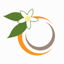 Orange Blossom Oral Surgery - Brandon (Formerly Brandon Oral and Maxillofacial Surgery)