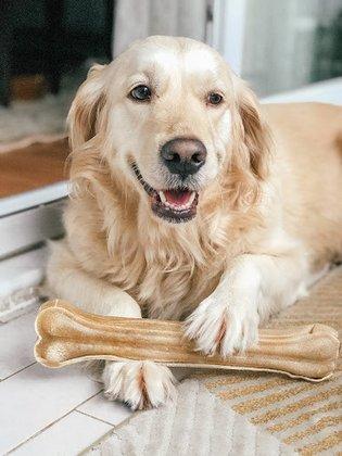 Gonyon Goldens Doodles and Poodles