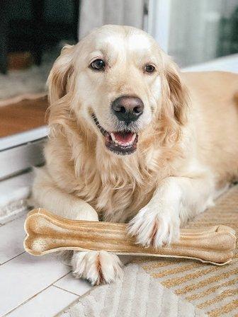 Gonyon Goldens Doodles and Poodles