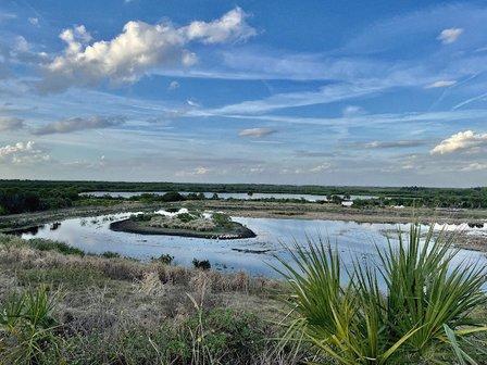 Cockroach Bay Aquatic Preserve