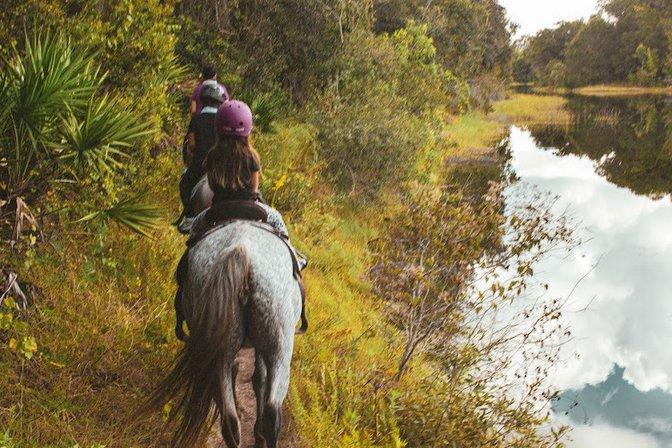 In the Breeze Ranch
