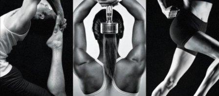 Fitness 360 Westchase
