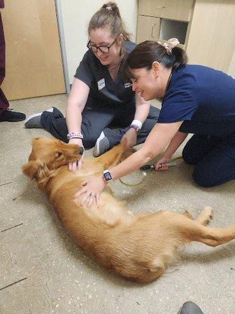 Vetco Total Care Animal Hospital