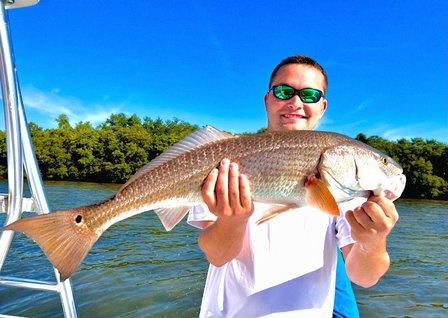 Go Fish Tampa Bay