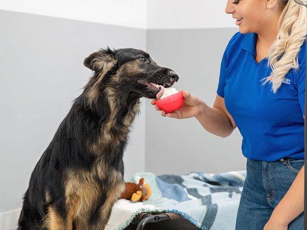 PetSmart