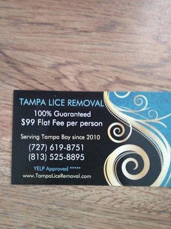 Tampa Lice Removal