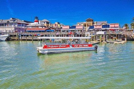 Dolphin Quest Eco Tours
