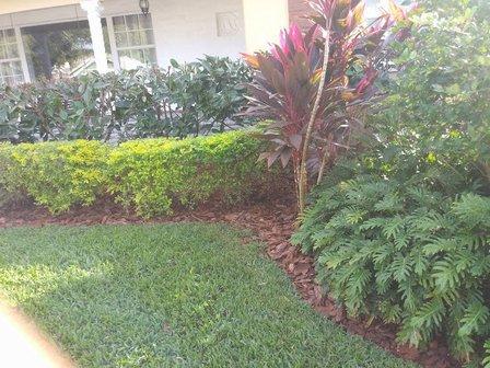 Blossom Tree & Landscape Service