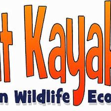 Coconut Kayak Tours