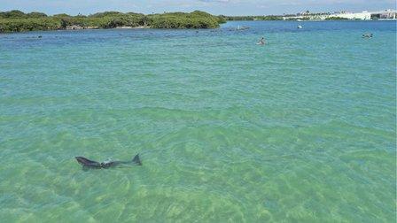Get Up And Go Kayaking - Clearwater