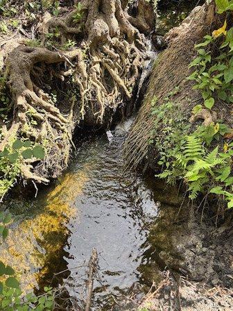Secret Waterfall IRB