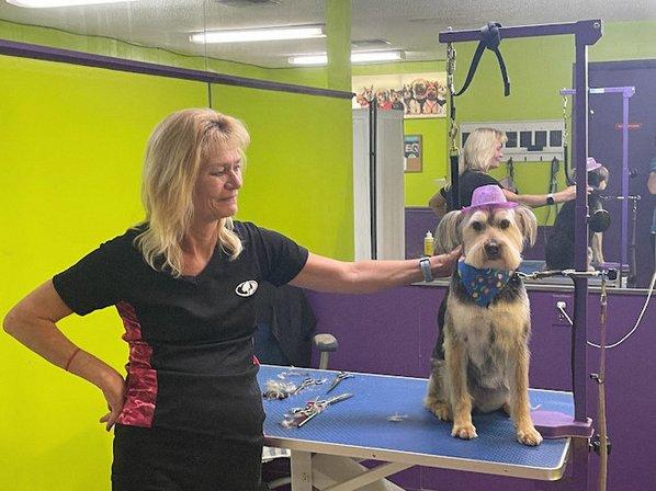 Barking Bella Pet Grooming