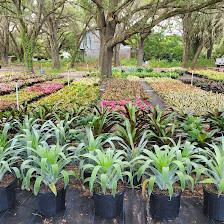 Atchison Exotics Inc - West