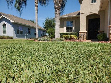 Indoor Pest Control, Land O Lakes | Trinity, Your Green Team