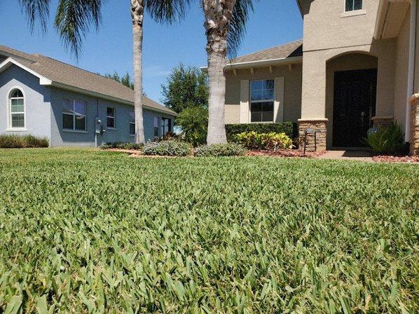 Indoor Pest Control, Land O Lakes | Trinity, Your Green Team