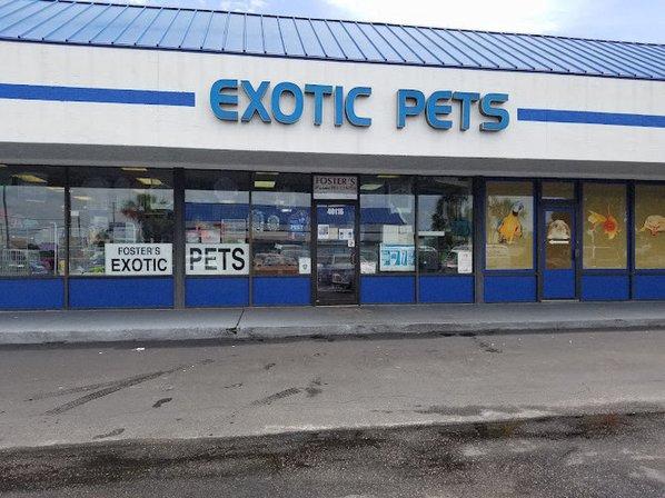 Fosters Exotic Pet Center