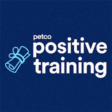 Petco Dog Training