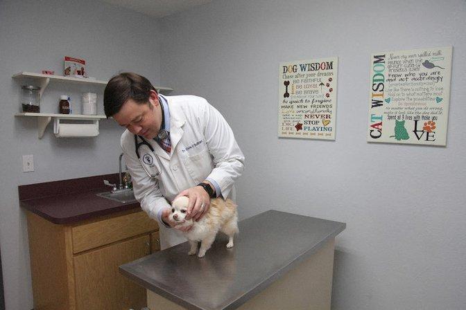Oak Hammock Animal Hospital