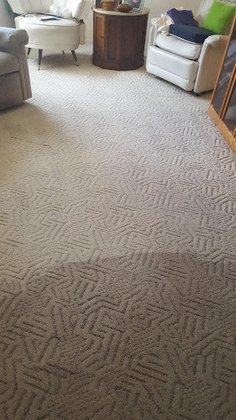 Superior Carpet & Upholstery Cleaning Inc
