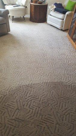 Superior Carpet & Upholstery Cleaning Inc
