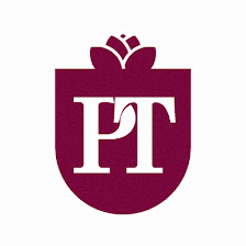 Professional Taxes Inc