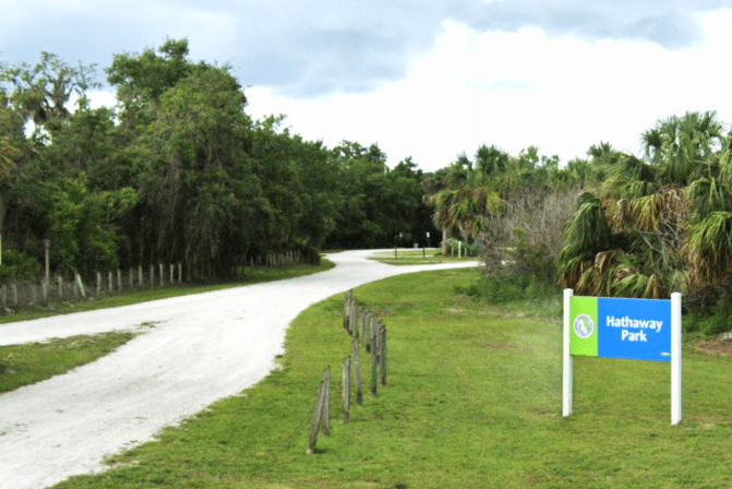 Starry Night Florida