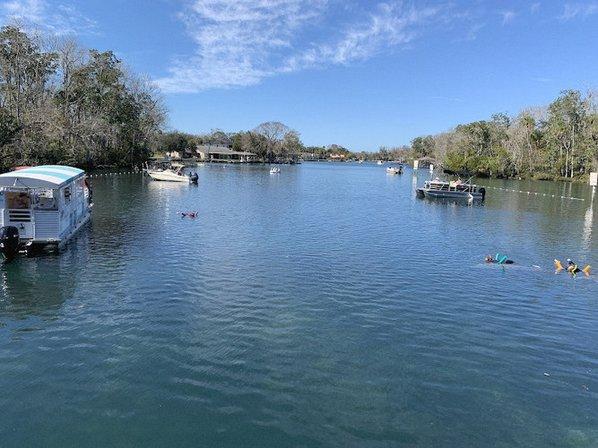 Blue Heaven River Tours