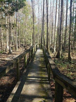 Chinsegut Wildlife Trail