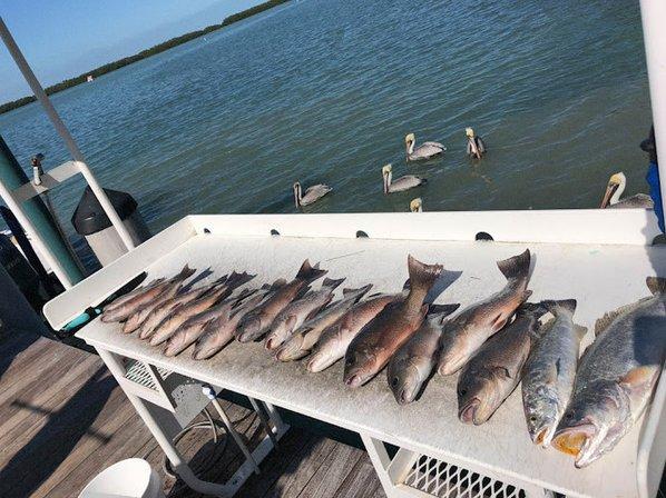 Coastal Outfitters Sport Fishing Charters