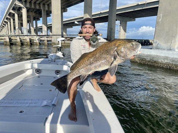 Tampa Bay Flats Fishing